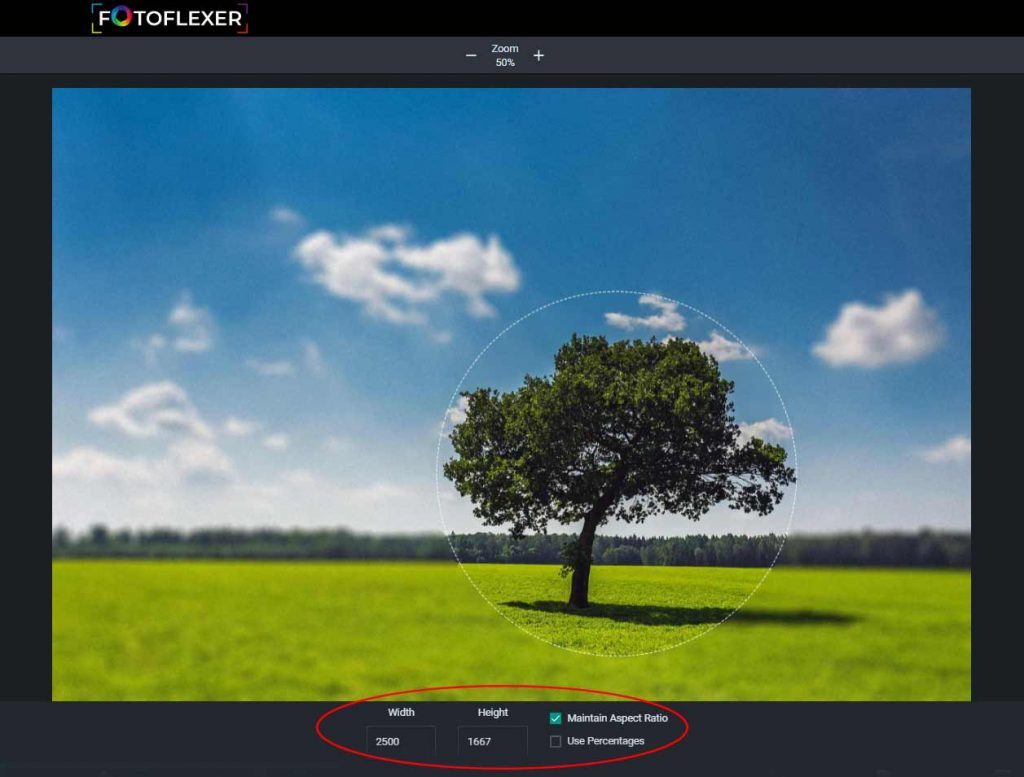 Top 10 best free photo editor online 2022 and how to use them