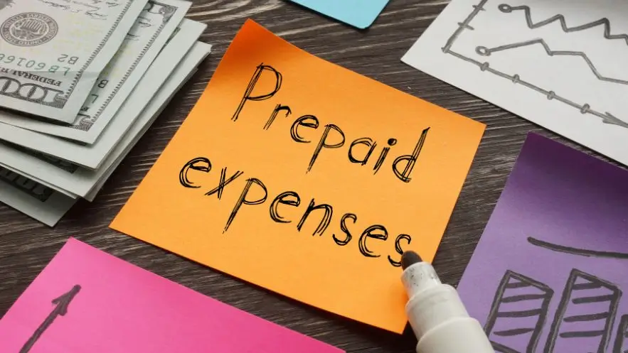 Prepaid Expenses on Balance Sheet: Examples & Entries